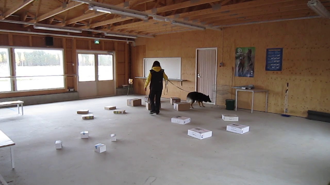 Tica NW-koe Laatikkoetsintä Lapua