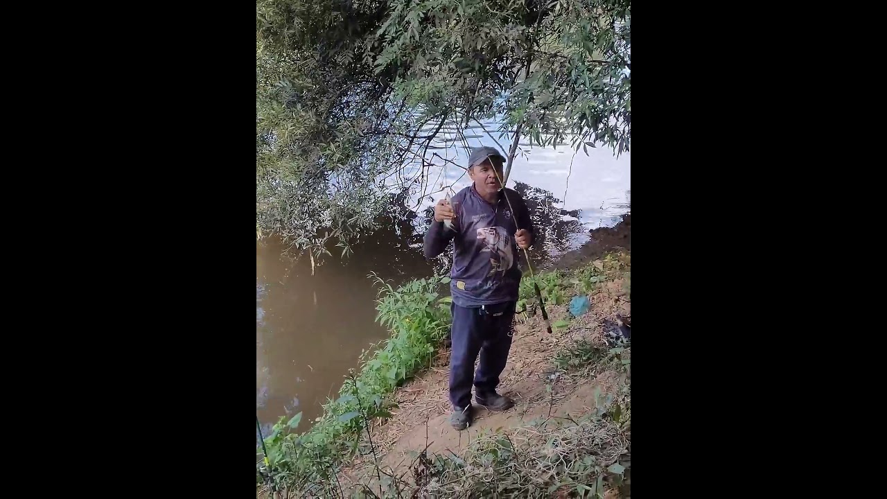 .•°OLHA SÓ O MOLINETE - PUXADA BOA: Pescaria de Curimba - Rio Sorocaba - Boituva - Prainha do Bambu