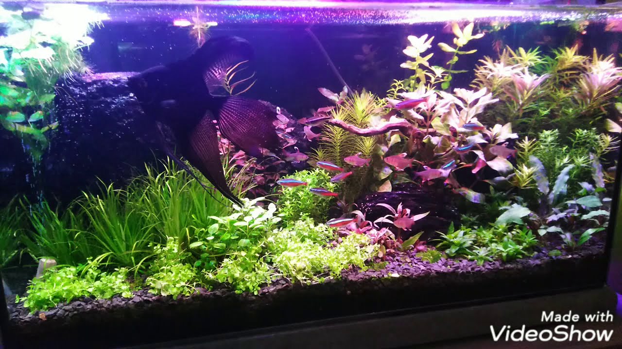 075.Magnez? Potas? Co do cho......ry siedzi w tej ziemi