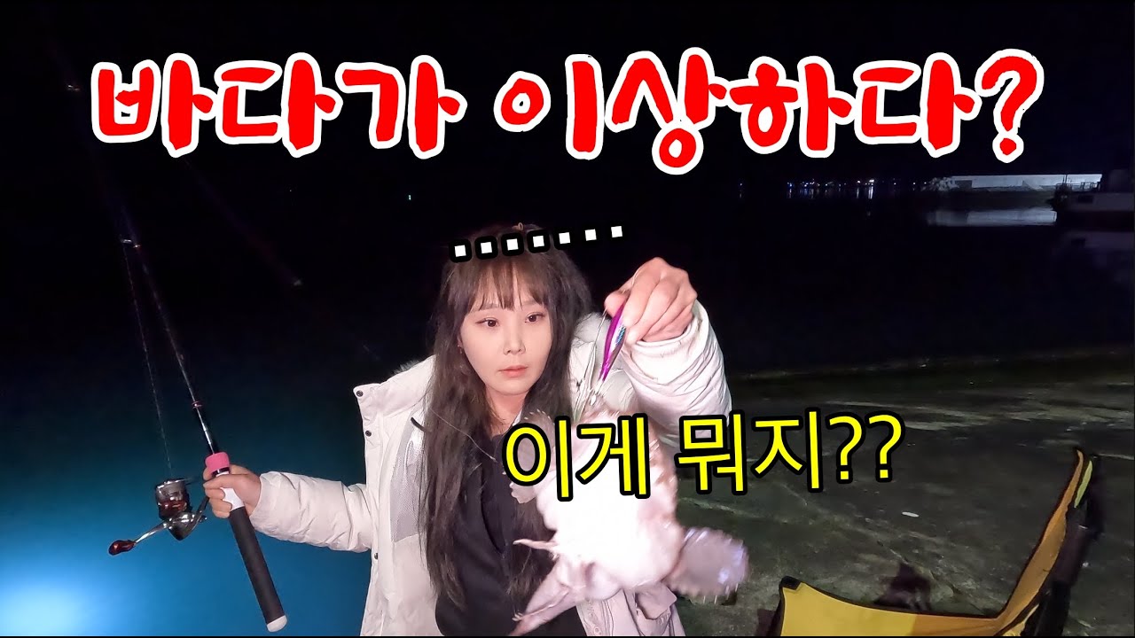 생전 처음 보는 물고기.. 이게 잡힌다고? 맛있다고 소문났다고 해서 먹어봤습니다