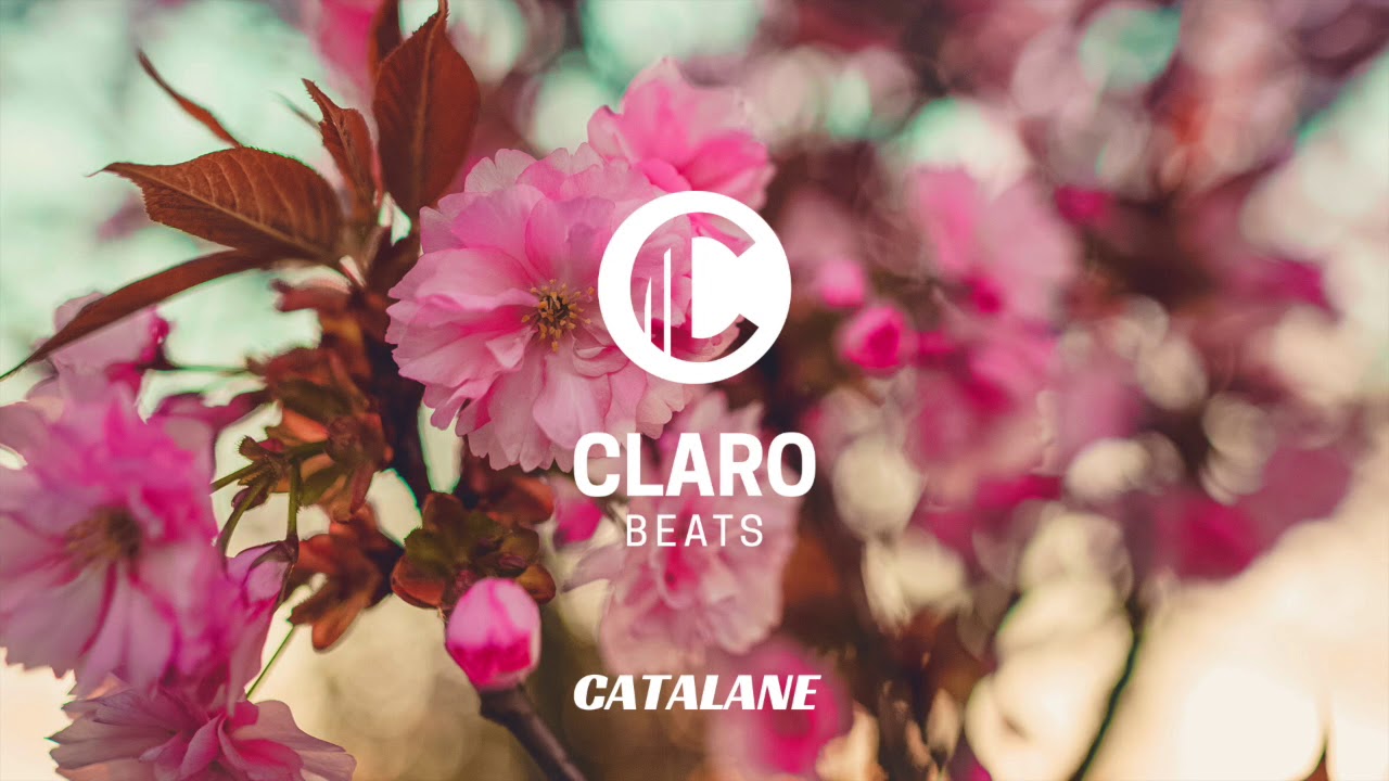 Instru Type Beat NAPS x DTF - Catalane (Prod By Claro Beats)