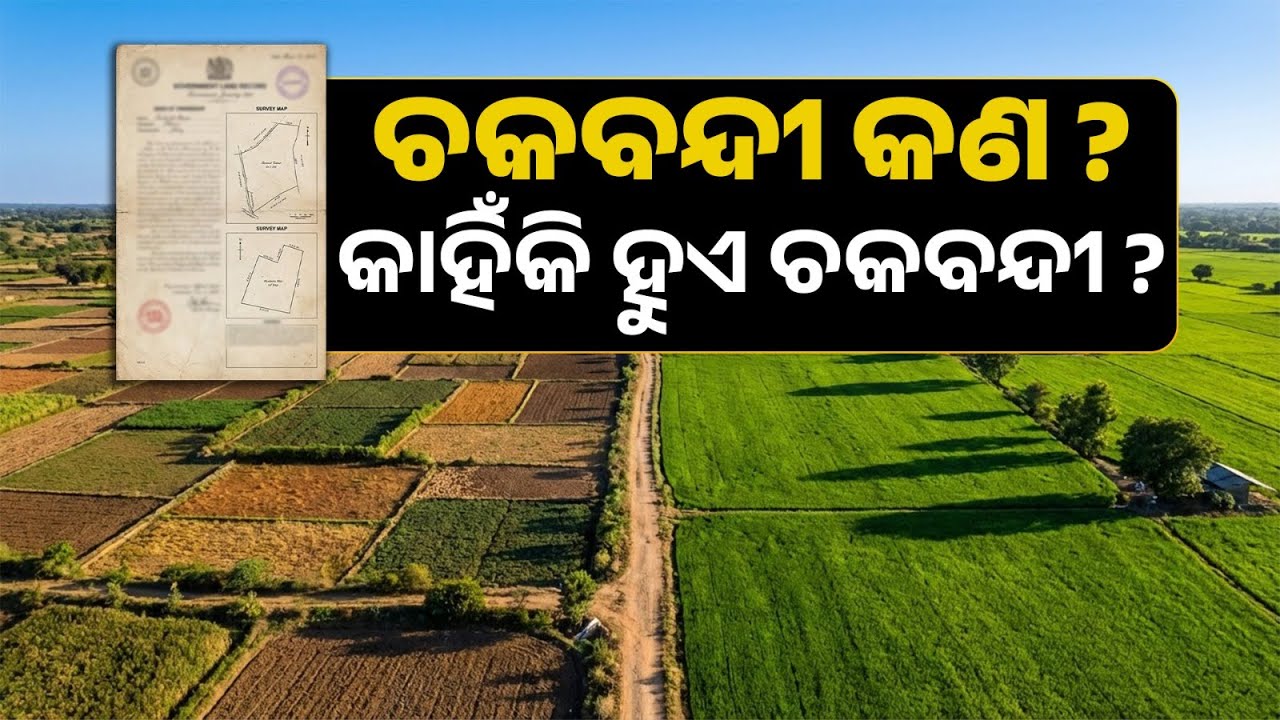 Chakabandi in Odisha Explained | Complete Process, Benefits & Legal Guide | Odisha Land Doctor