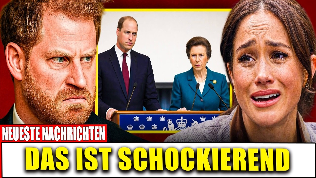Sorgerechtsstreit beendet – Harry enthüllt, was Meghan & Andrew hinter verschlossenen Türen getriebe