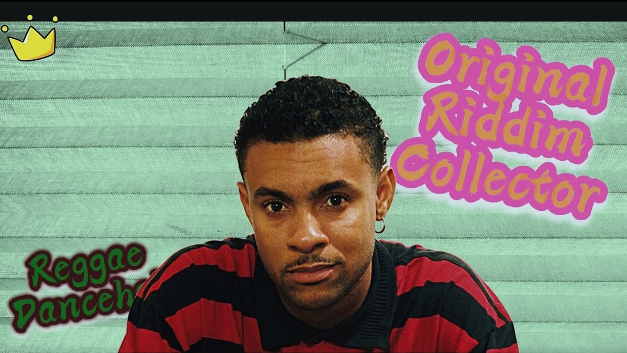 Ready Fi Di Ride //Stray Riddim// SHAGGY