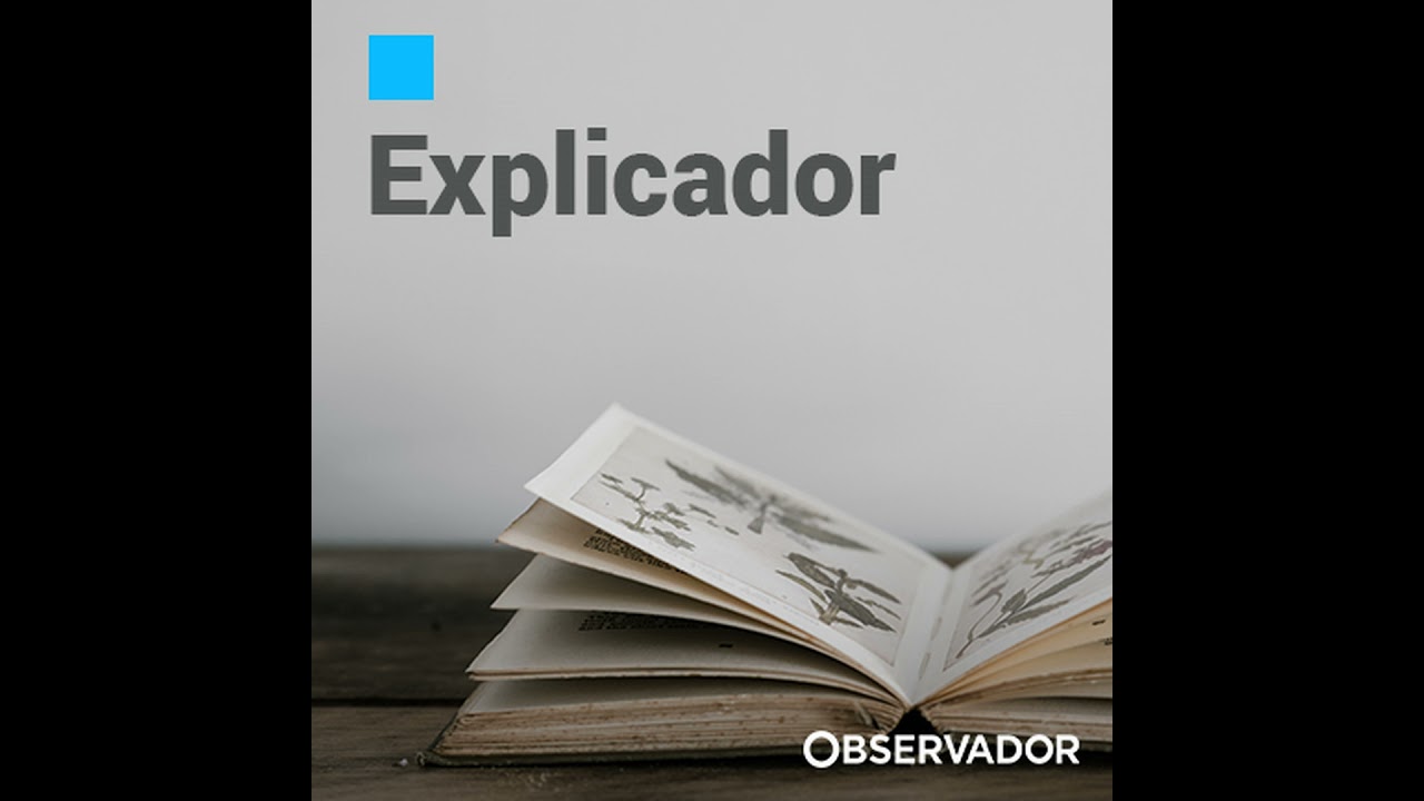 Quando se vai sentir o efeito da libertação de barris?