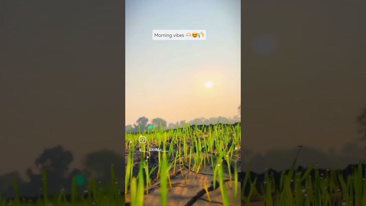 #agriculture_technique #agriculture_happy_daily #ncagriculture#californiaagriculture #farming