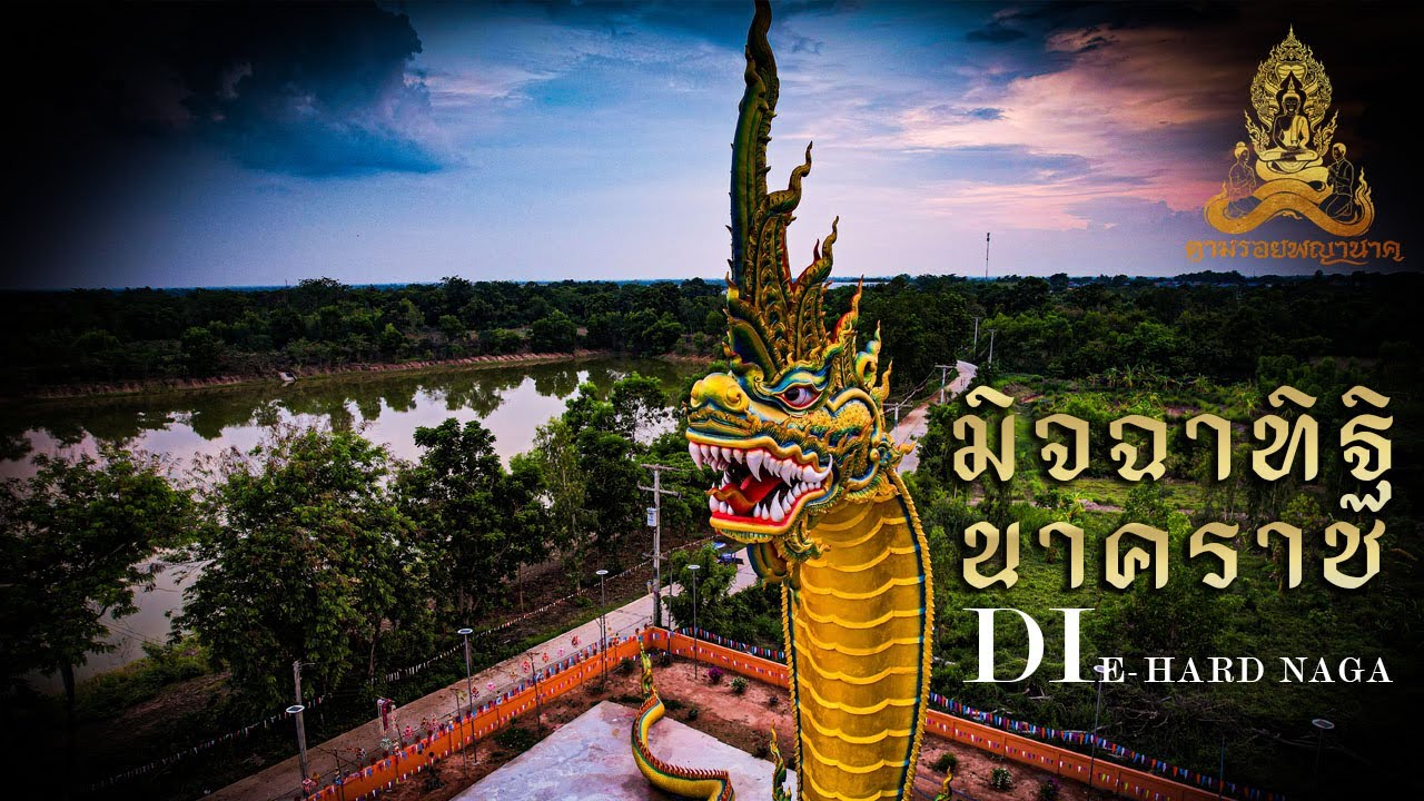 ตามรอยพญานาค EP.29 มิจฉาทิฐินาคราช  DIE-HARD NAGA วัดโพธิ์สามต้น อ.เชียงยืน จ.มหาสารคาม