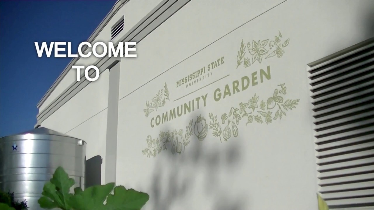 MSU Community Garden - PROMO VIDEO