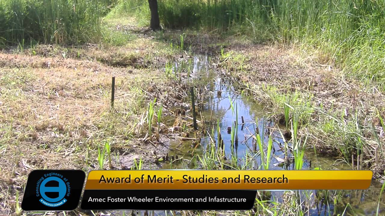 Amec Foster Wheeler Lisgar District Basement Water Infiltration Investigation