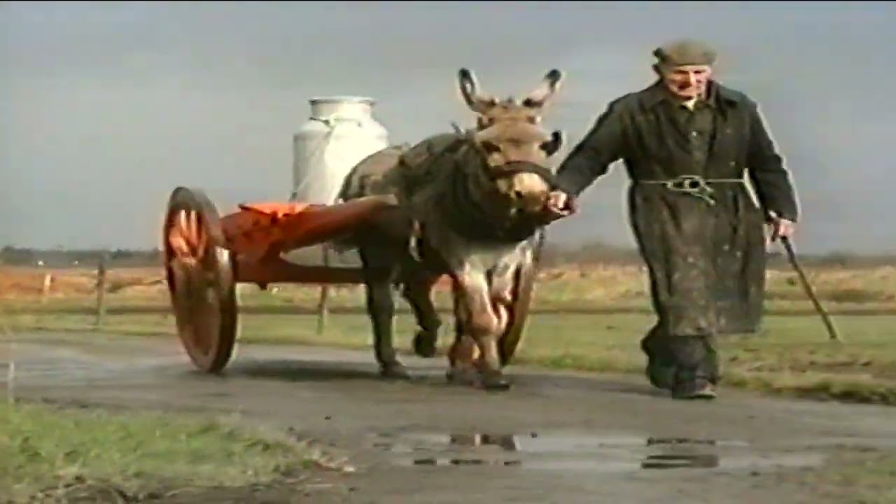 Moyvane Knockanure 1996