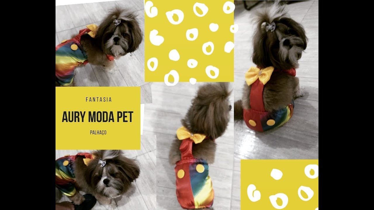 COMO FAZER FANTASIA DE CARNAVAL PARA CACHORRO/ ROUPAS PET