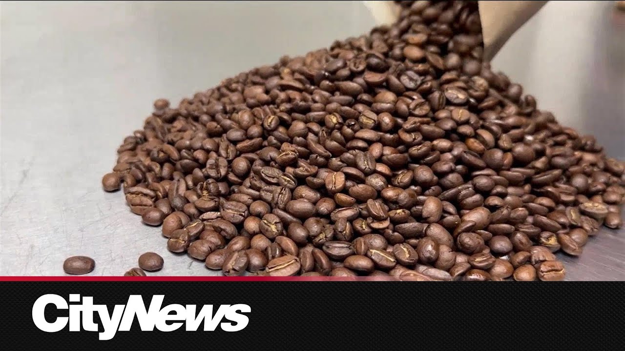 Coffee bean prices worries one Edmonton cafe