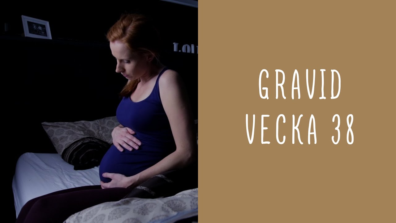 Gravid vecka 38