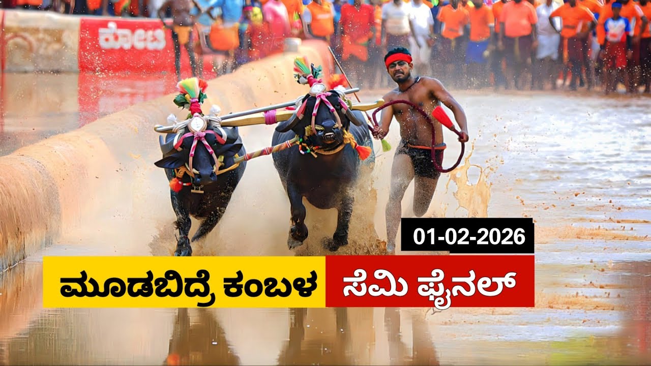 Moodabidre Kambala Semi Final race 2026 | ಮೂಡಬಿದ್ರೆ ಕೋಟಿ ಚೆನ್ನಯ ಕಂಬಳ ಸೆಮಿ ಫೈನಲ್ ರೇಸ್