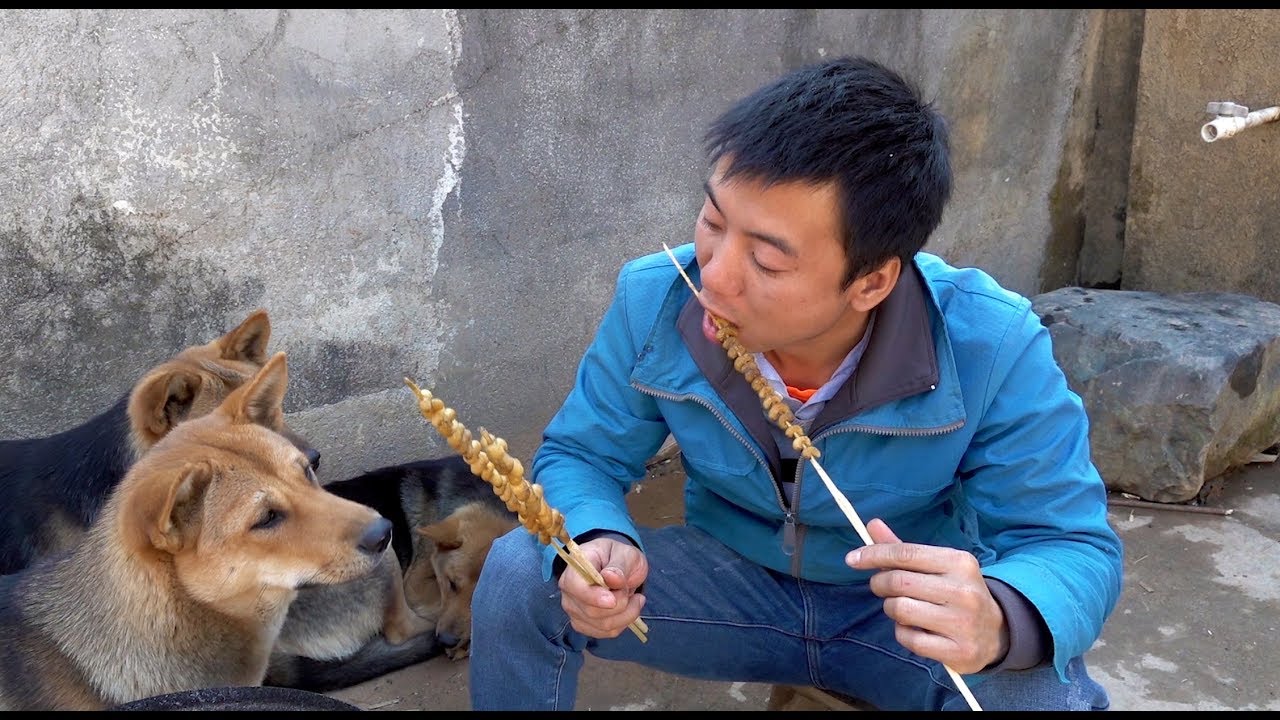 华农兄弟：又到了吃虫子的季节，放点孜然烤一烤，又香又脆，很美味哦