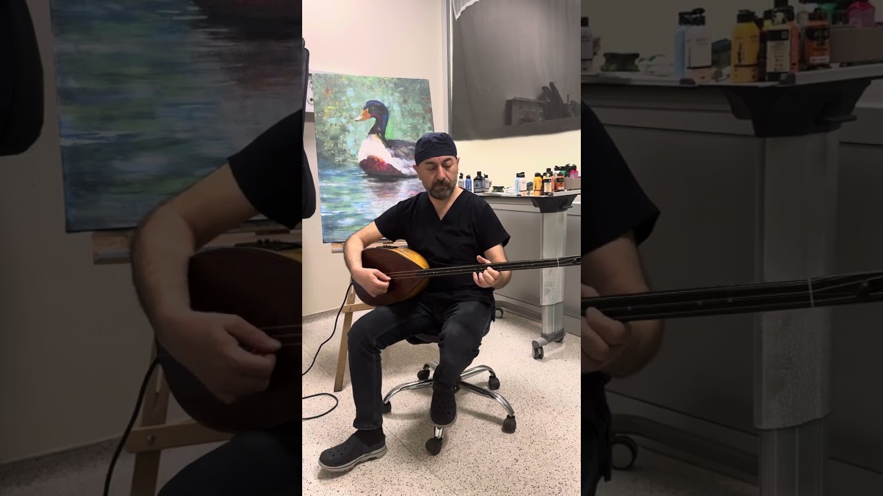 Gönlüm Bir Sevdanın Peşine Düşmüş (Aklı Yok)