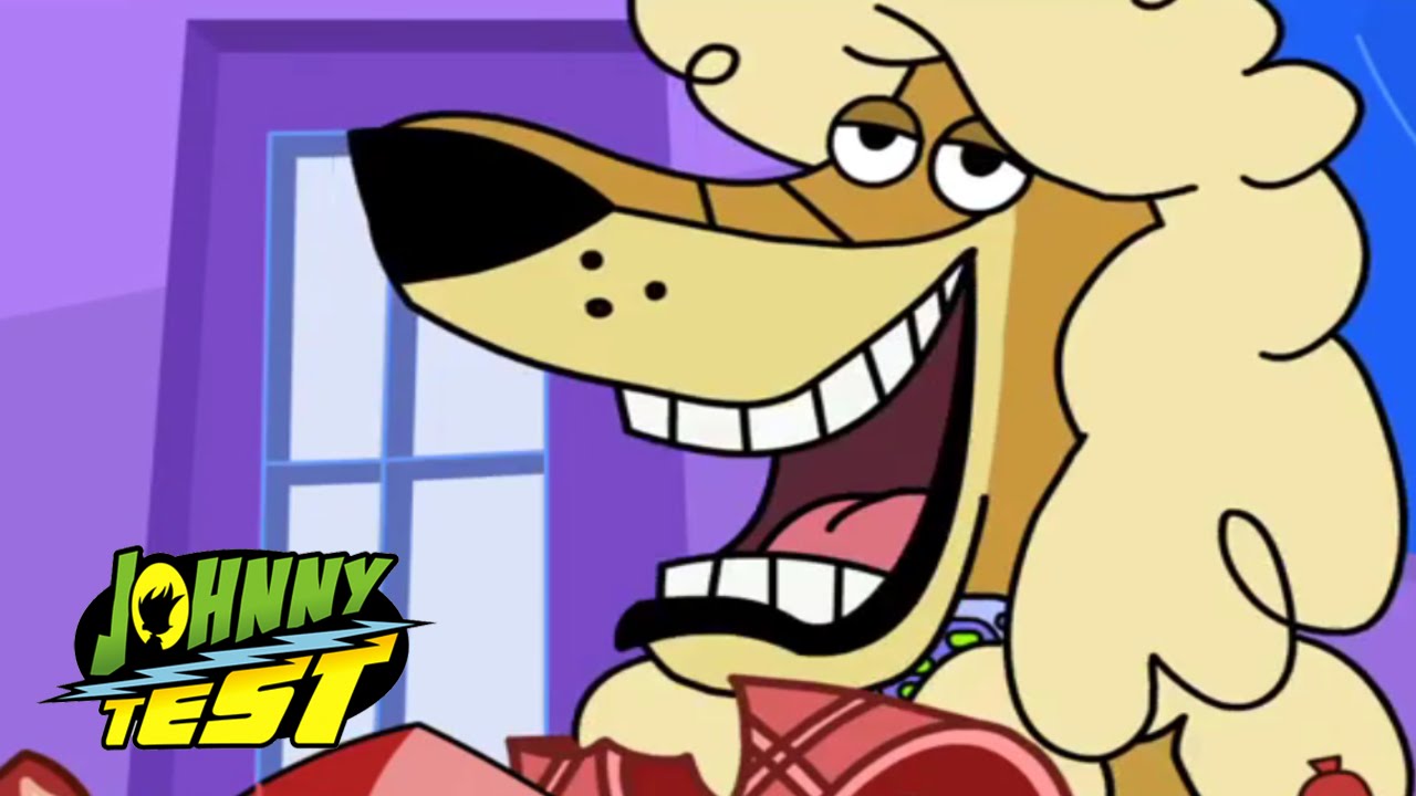 Johnny Test Full Episodes in English 🚀 Johnny vs The Dukenator // Johnny's Petting Zoo | 613