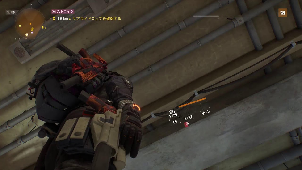 division  survival