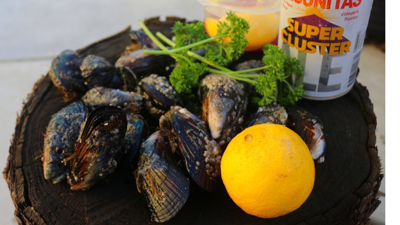 Forage and Cook WILD Mussels in Beer, Butter, and Garlic - Fresh, Delicious, and Easy