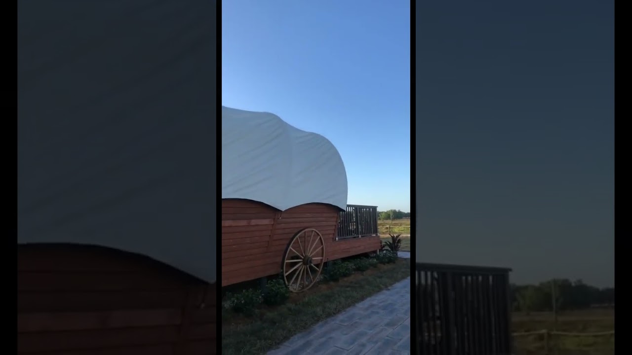 Glamp in a Conestoga Wagon at Westgate River Ranch & Rodeo! #shorts