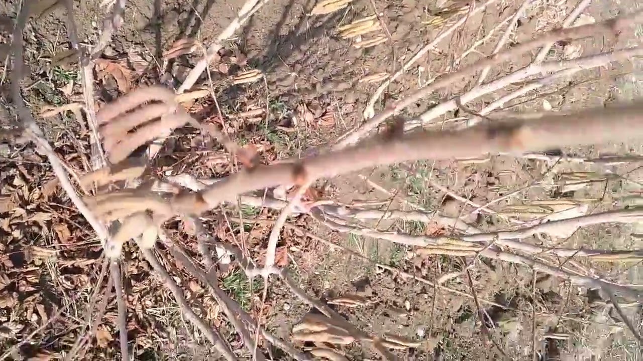 +7 936 245 76 99 ватс.