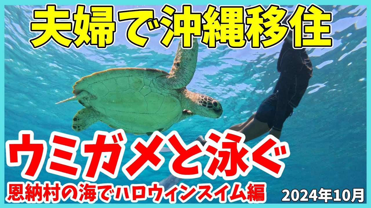 【沖縄移住】沖縄移住2年目でついに実現！念願のウミガメと一緒に泳いで最高だったハロウィンスイム♪10月の沖縄も海を楽しむ沖縄移住した夫婦の休日をどうぞご覧くださいませ！