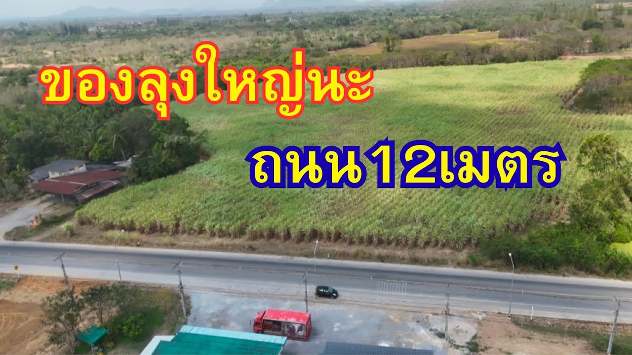EP.587 ขายที่ติดถนนลาดยาง,ที่ดินถูกๆ,28-2-69 ไร่ หนองโรง ท่ายาง เพชรบุรี อยากขายด่วน! ที่ดินท่ายาง