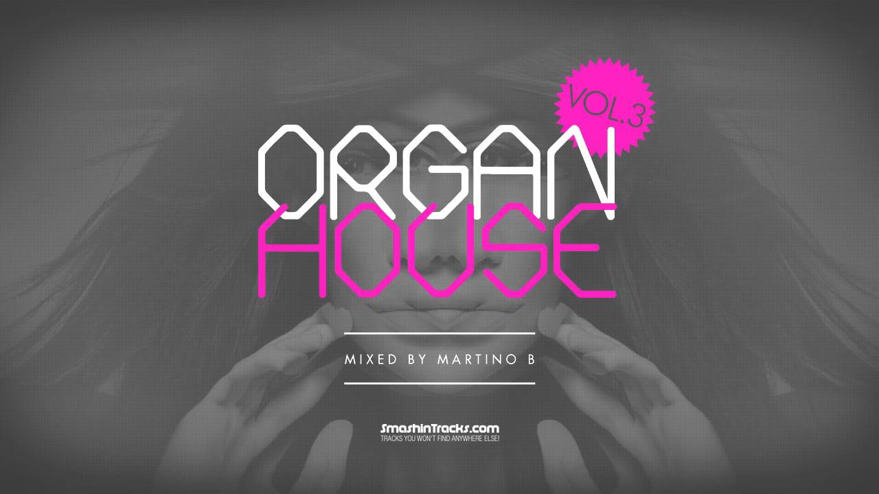 Martino B ● Organ House v003 (August 2015)
