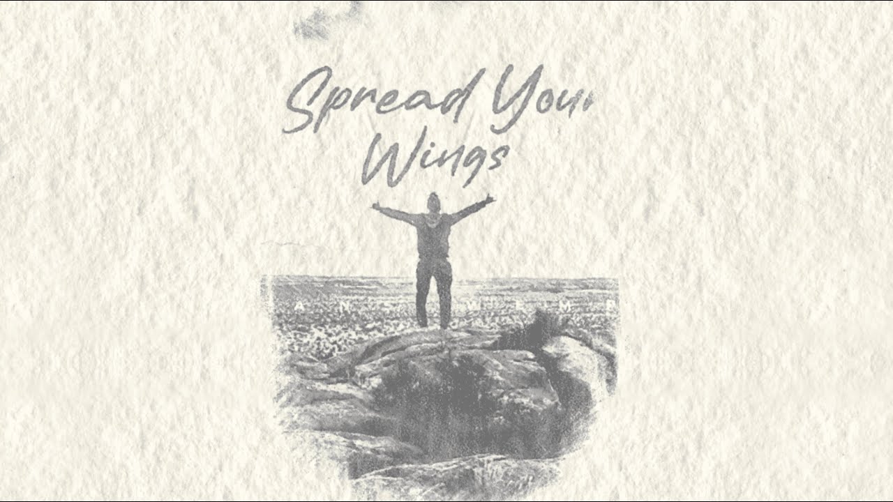 Hans Wempe - Spread Your Wings