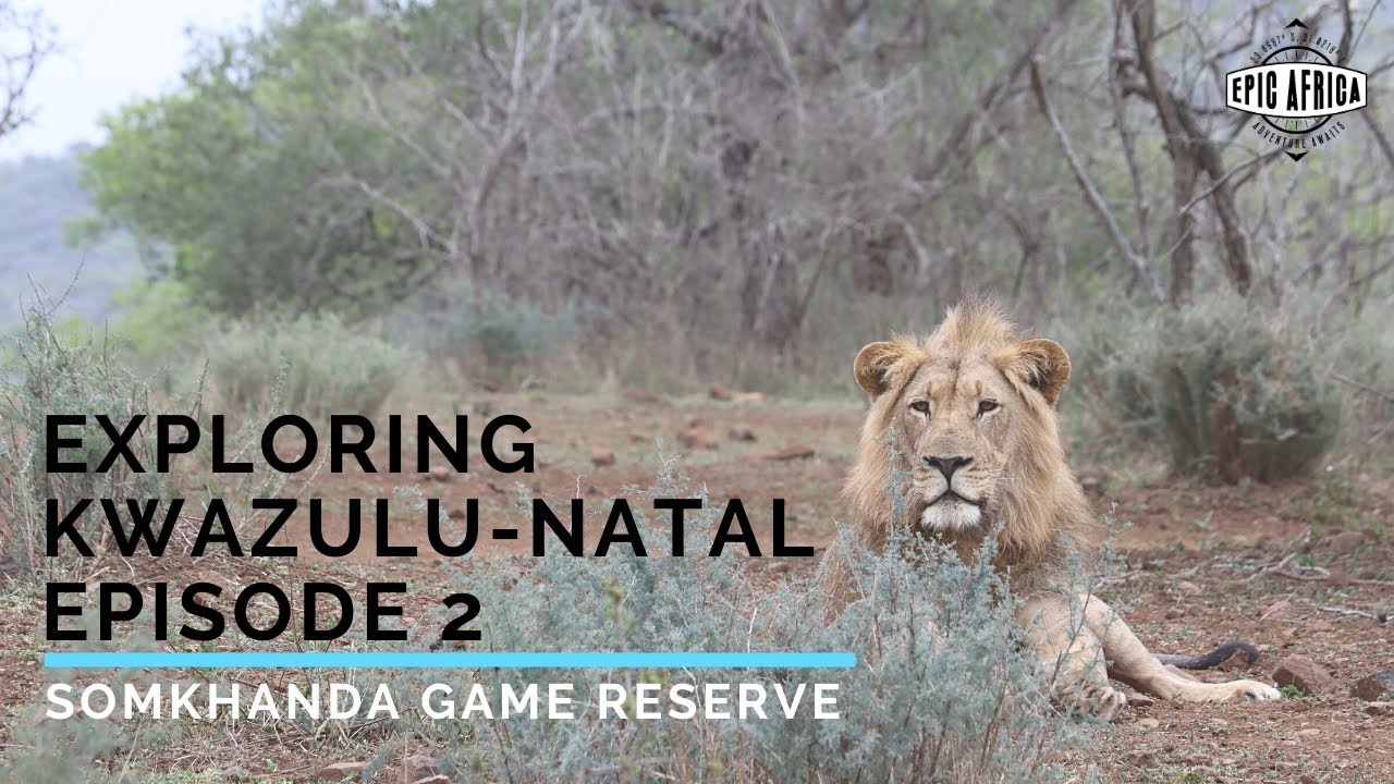 Exploring KwaZulu Natal - Episode 2: Somkhanda Game Reserve