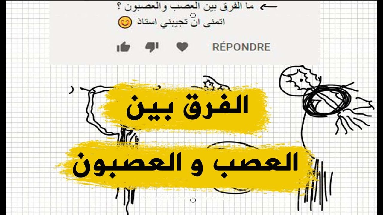 بعد هذا الفيديو مراحش تلخبط بين العصب و العصبون