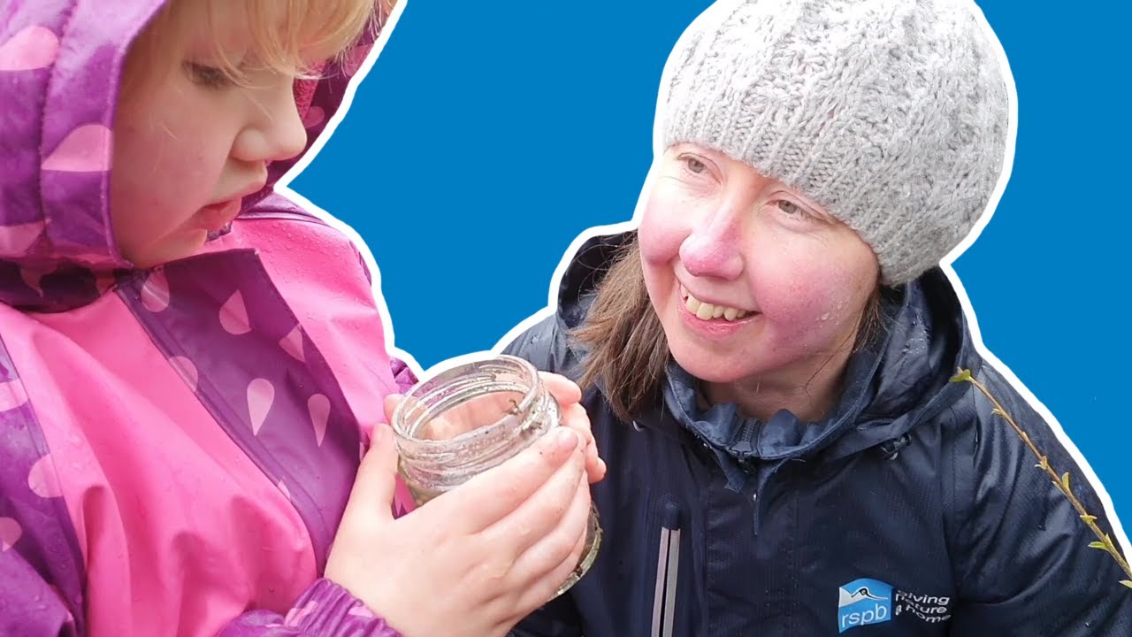 Go on a bug safari! | 