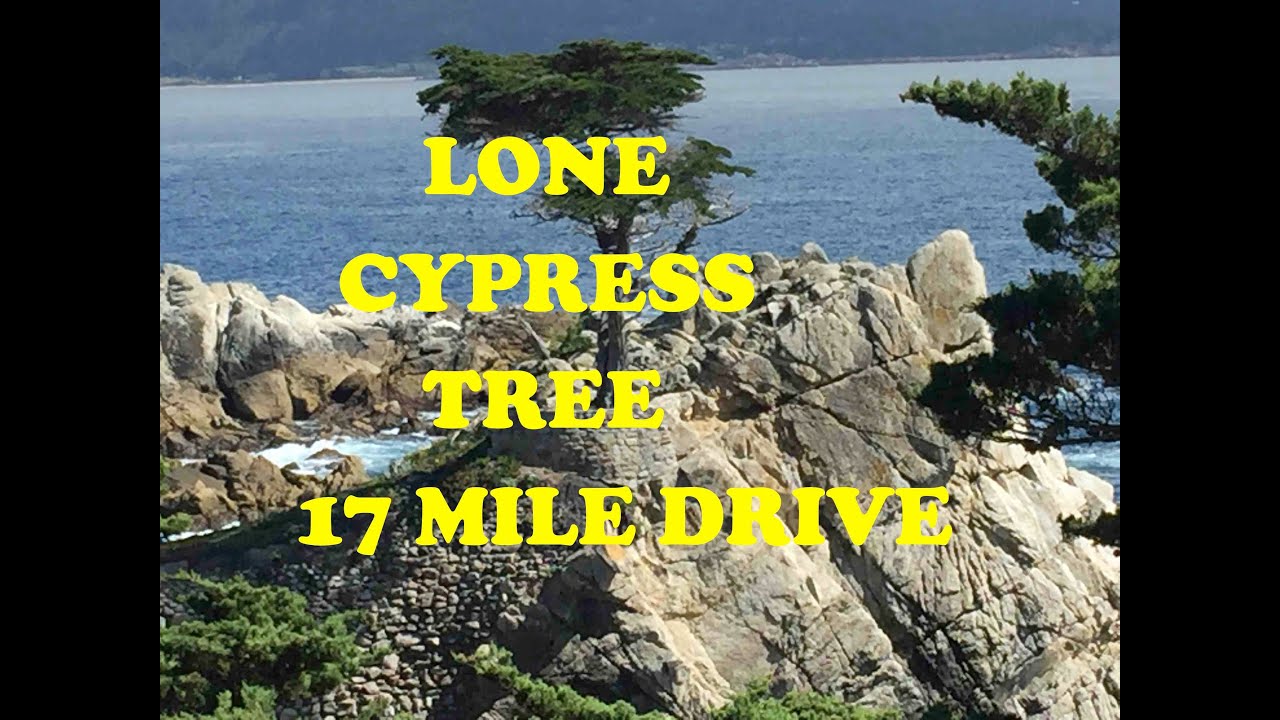 17 Mile Drive Lone Cypress Tree