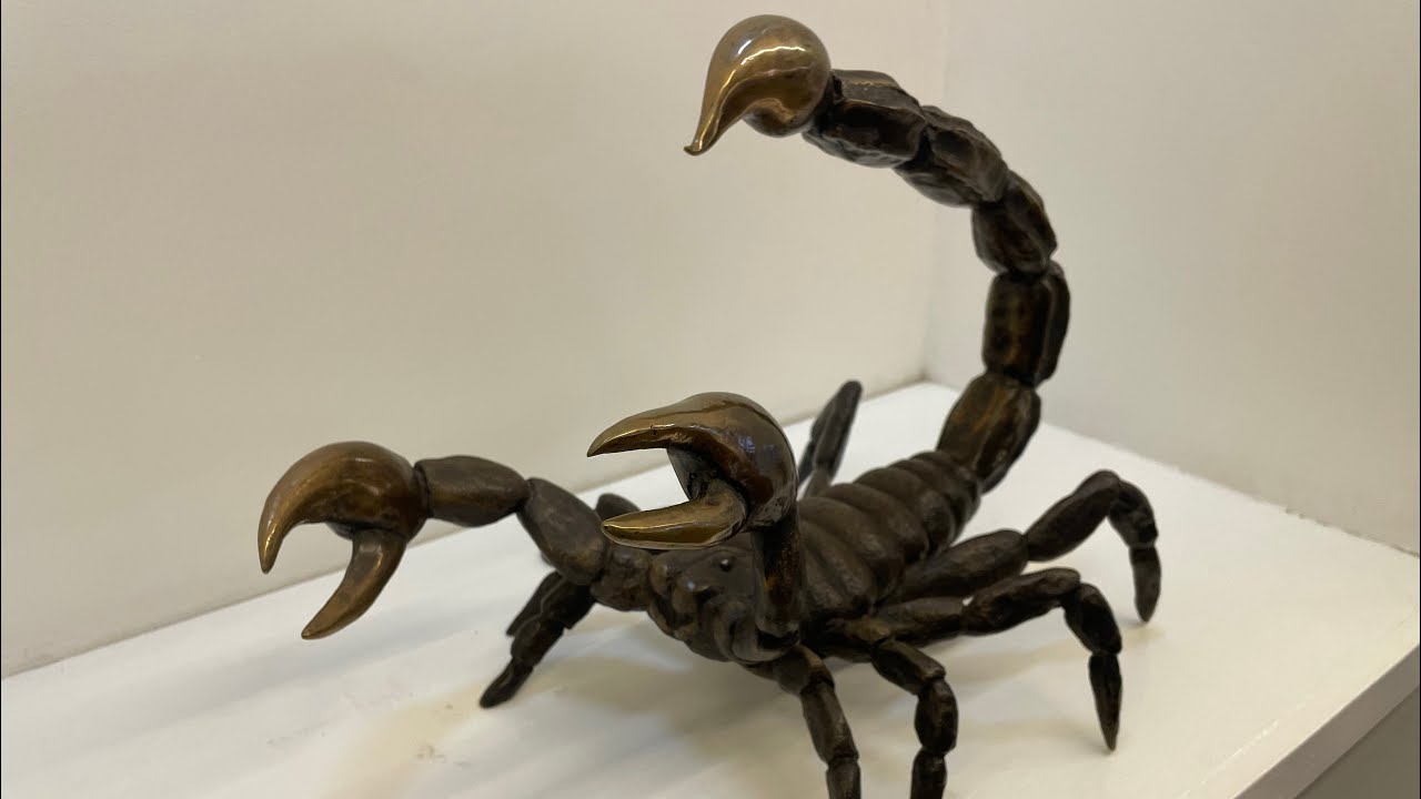 A TASTE ON SQUIDS🦐 :MY ZURU DIARY