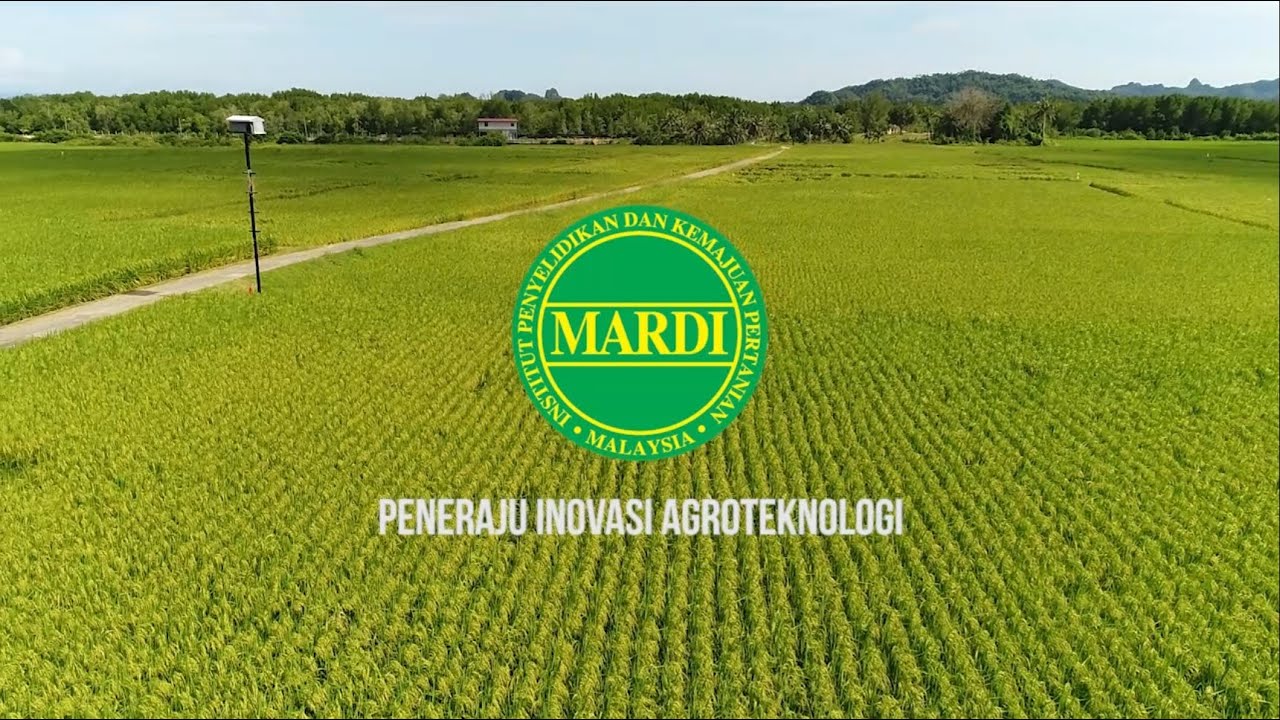 KORPORAT VIDEO MARDI 2022 - VERSI BAHASA MELAYU