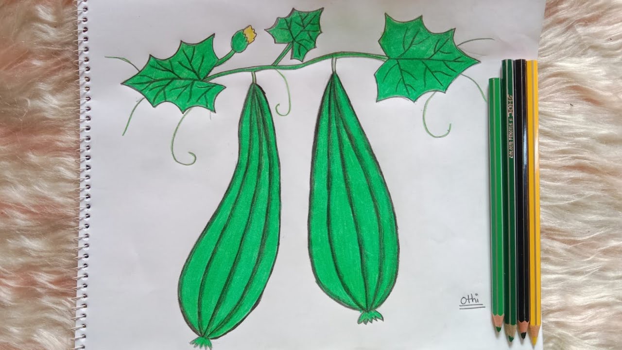 How to draw Jhingga step by step || Easy Jhingga drawing || Easy Jhingga painting.