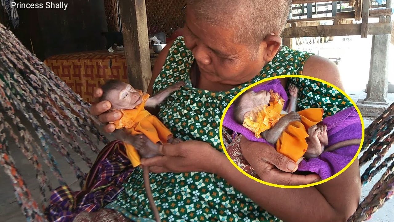 Grandma Holding Princess Shally Very Warm, She Wants Grandma Hugging
