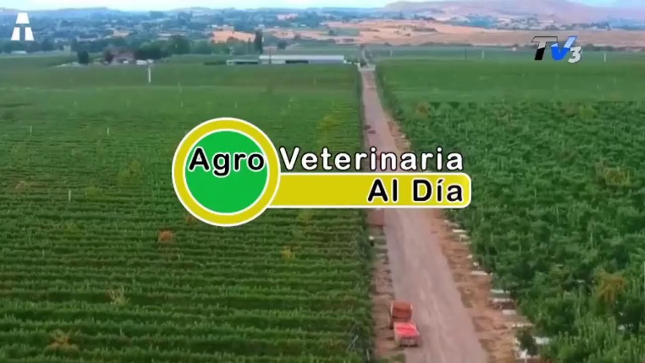 Agroveterinaria Al D&iacute;a