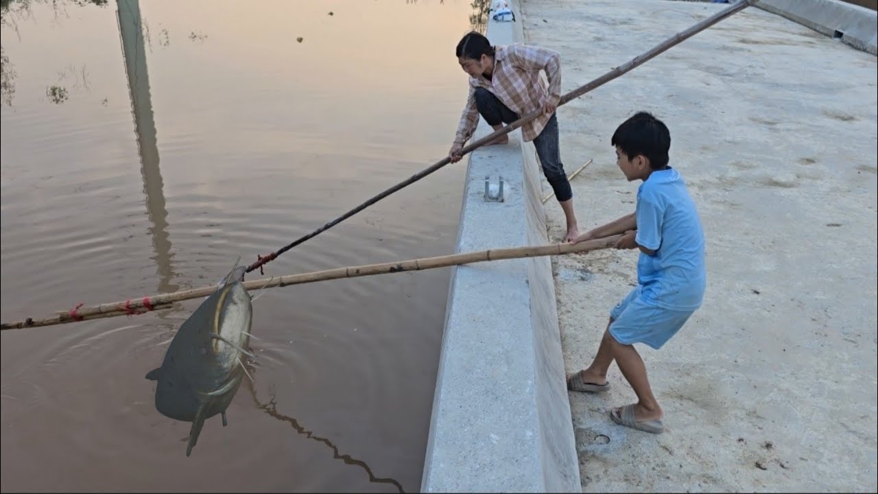 Giant Fish Catching Technique - Safe During Flood Season LyTienCa