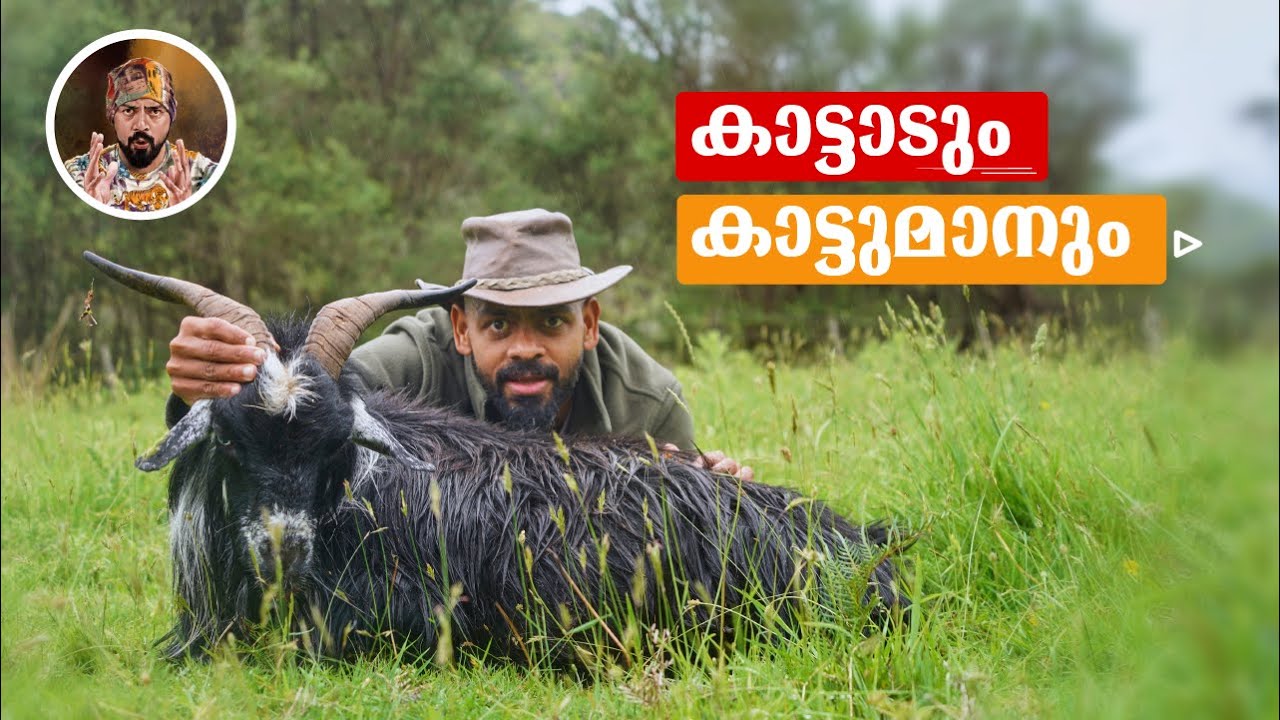 WILD GOAT HUNTING/DEER HUNTING/BEST HUNTING VIDEO/HUNTING IN NEW ZEALAND/FERRELL GOATS