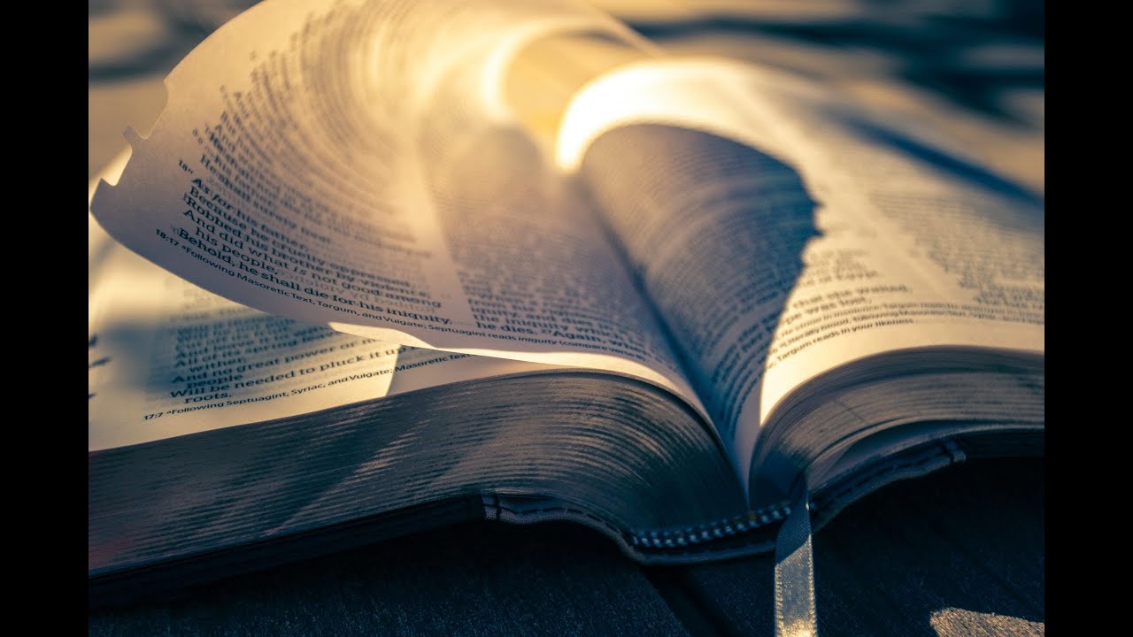 The Importance of God’s Word | Psalm 119:9–16