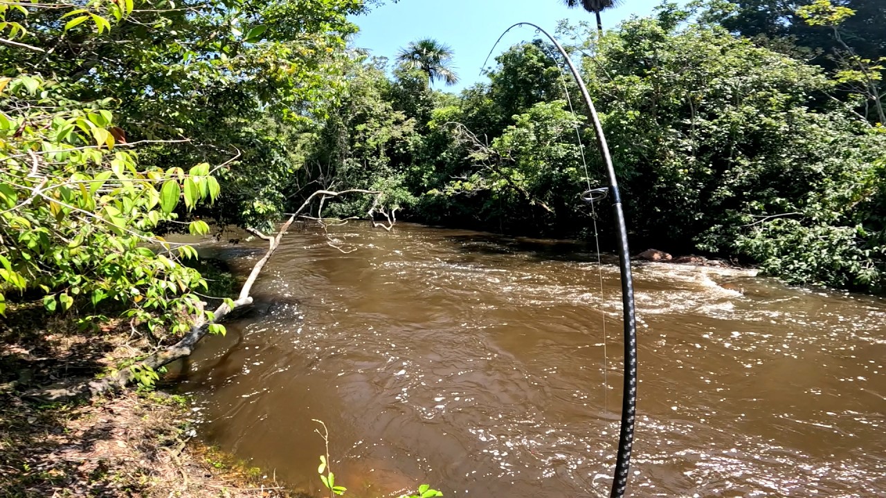 A PÉ NA SELVA Eles Só Atacam NA SOMBRA! O Padrão Secreto desse Rio