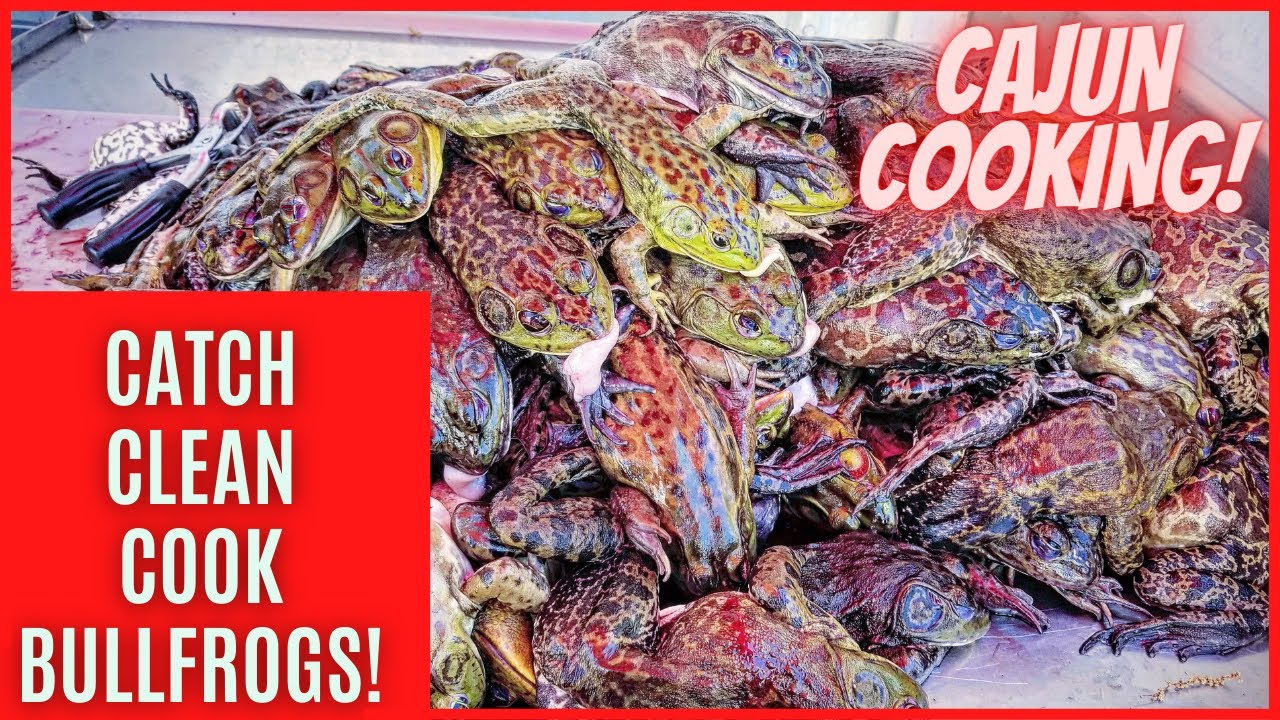 COOKING FROGS! (CATCH ,CLEAN, N COOK) IN LOUISIANA!