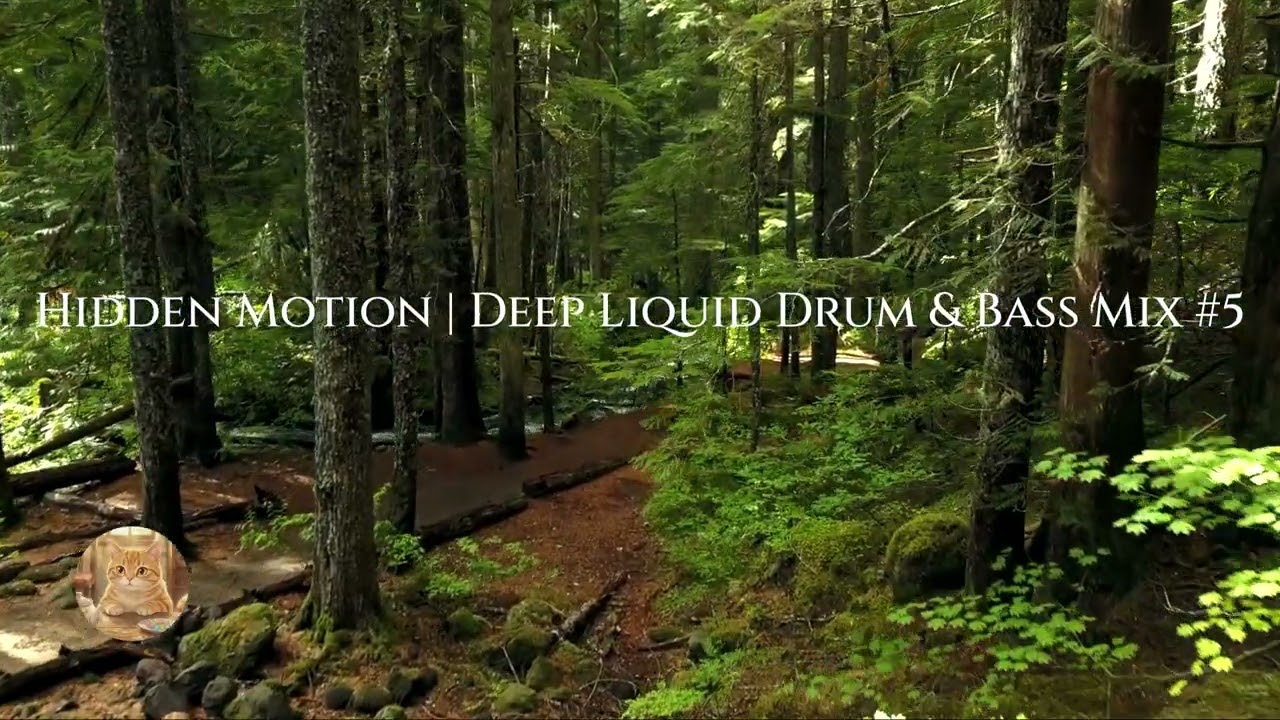 Hidden Motion | Deep Liquid Drum & Bass Mix #5