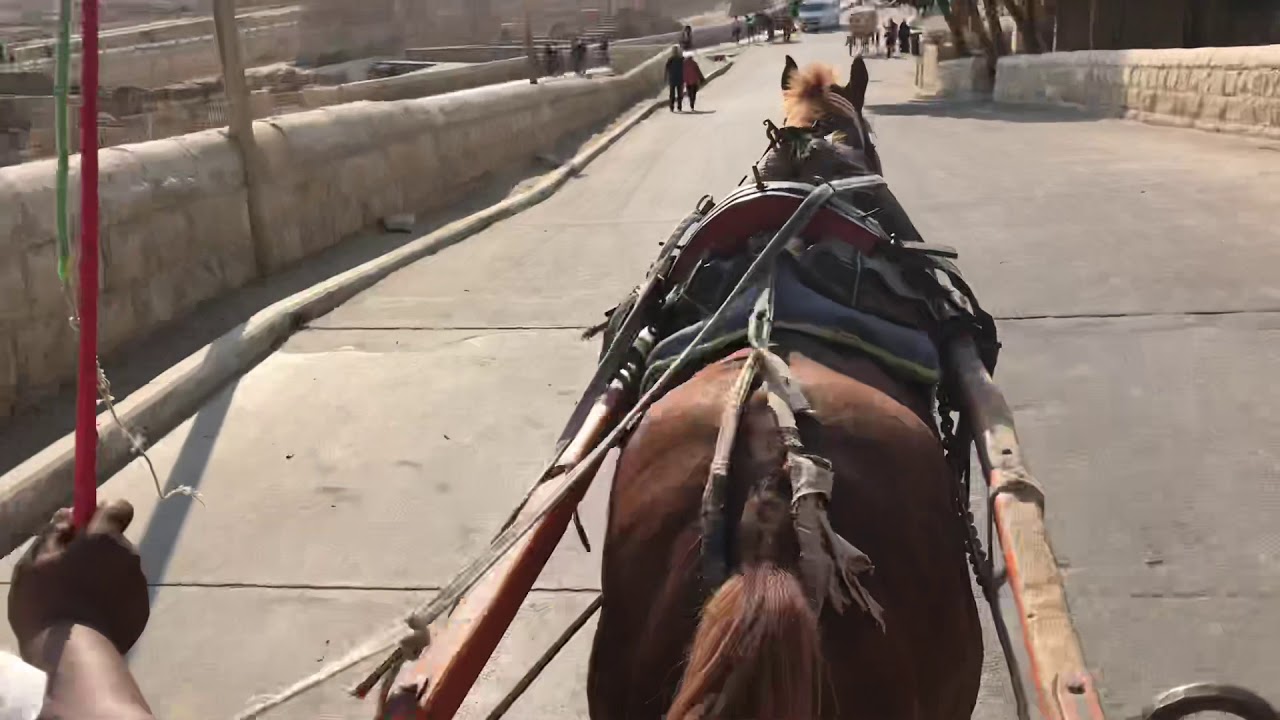 Egypt Vlog # 17 - To the Pyramids