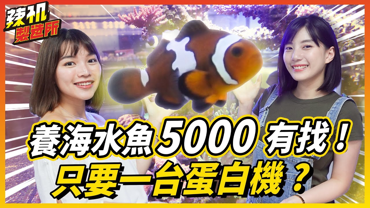 養海水魚5000有找 ? 只要一台蛋白機就搞定 ! 你不知道的秘密大解析！水族系列 EP.4 鋼彈開箱