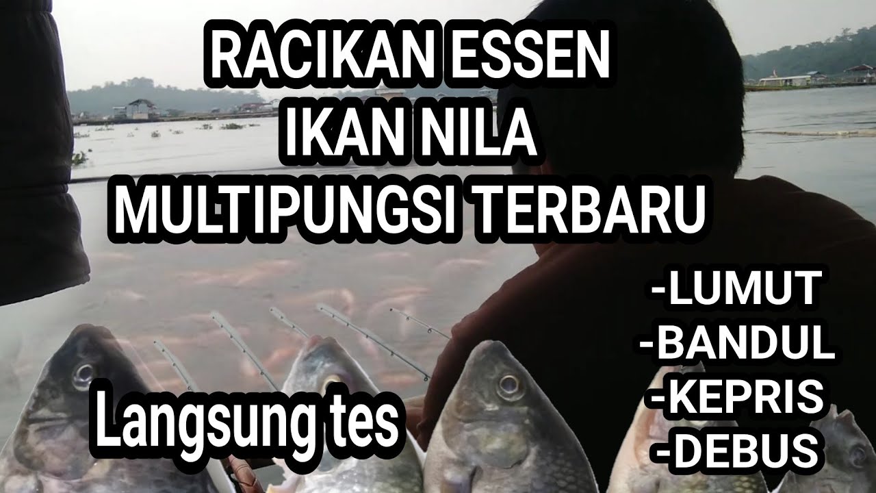 RACIKAN DAN TES  ESSEN NILA MULTI TERBARU
