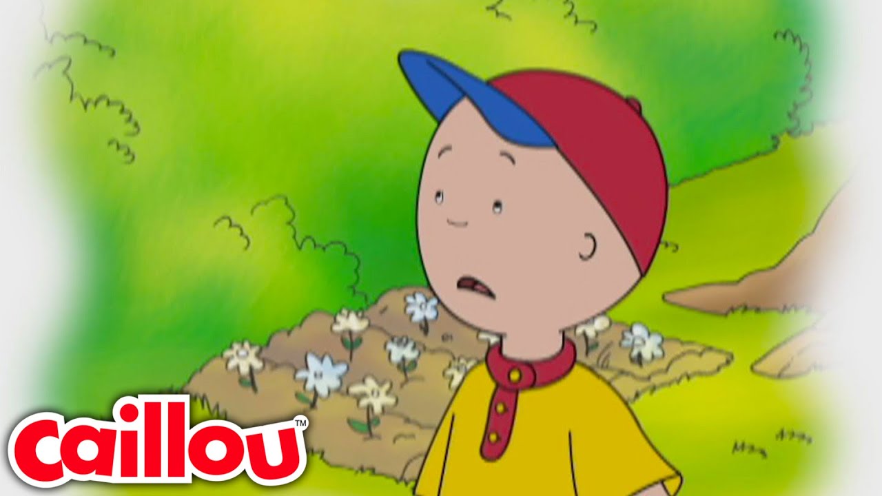 Iedereen is de beste | Caillou Nederlands - WildBrain | Leren voor kinderen