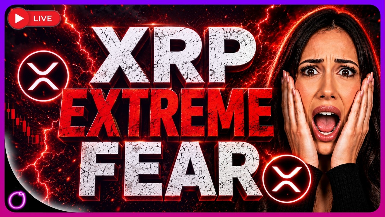 XRP Extreme Fear Massive Rally Coming?! SpaceX $1.78 TRILLION IPO Shock! Bitcoin $48K Warning