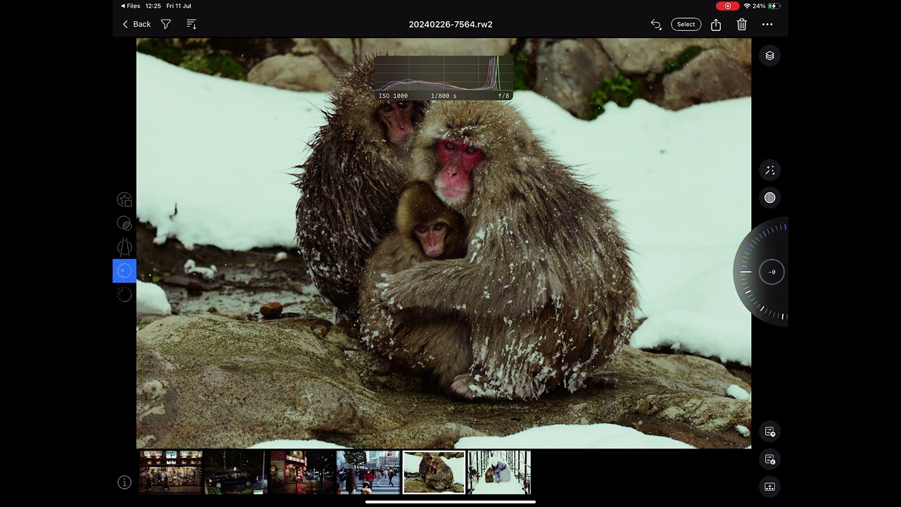 Color Grading LUMIX S5IIX FujiPro400 Film Simulation for Capture One and Lightroom